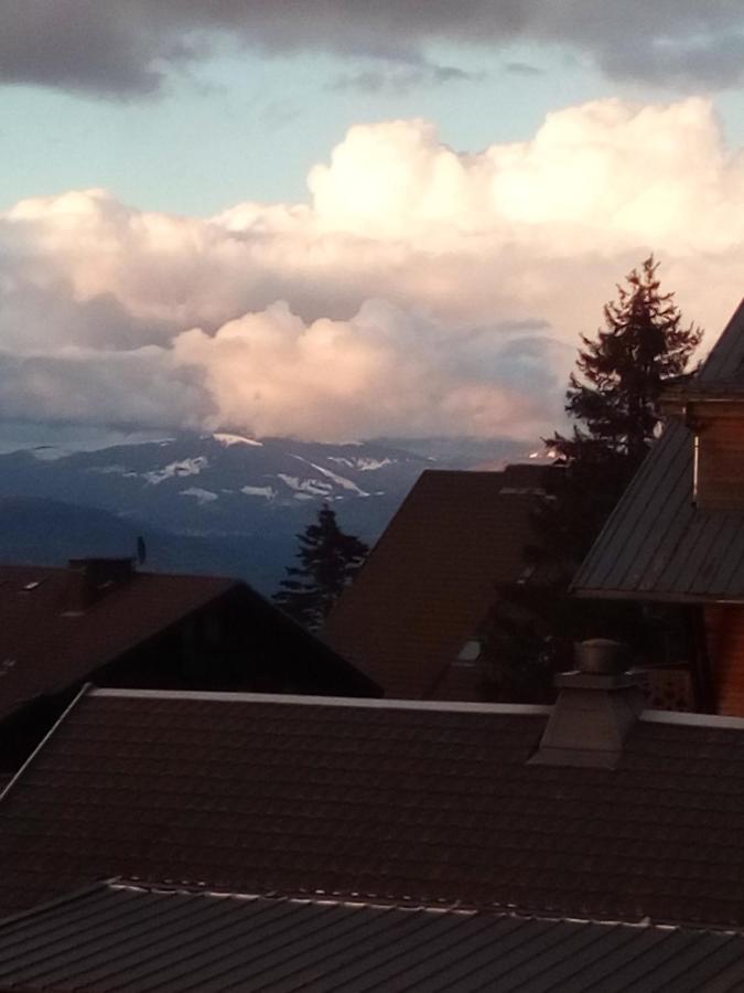 Superbe Appartement T2 3 Etoiles 40M2 Pied Des Pistes Vue Sur Le Lac Thollon-les-Memises Exterior photo